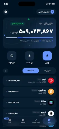 صفحه اصلی ریوا با دکمه «واریز» و فهرست شبکهها