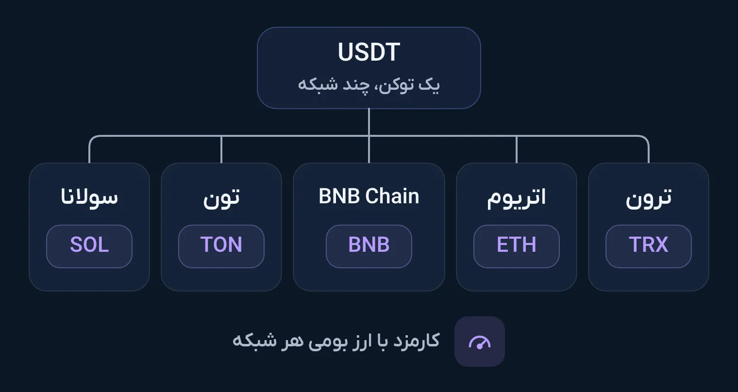 نمودار USDT در بالا که به پنج شبکه ترون، اتریوم، BNB Chain، تون و سولانا وصل است و ارز کارمزد هر شبکه، یعنی TRX، ETH، BNB، TON و SOL، زیر نام آن آمده است.